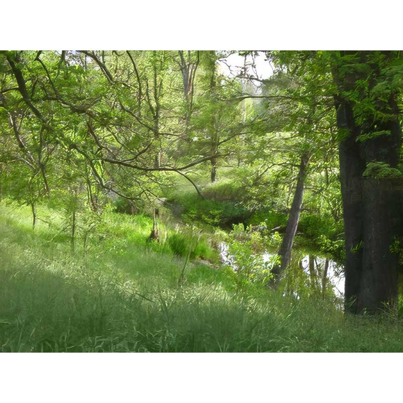 meadow-creek-ranch-inn-bb-05