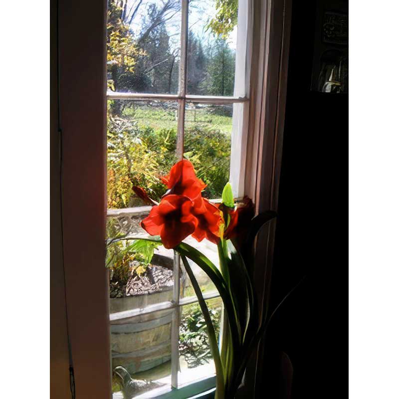 meadow-creek-ranch-inn-bb-11